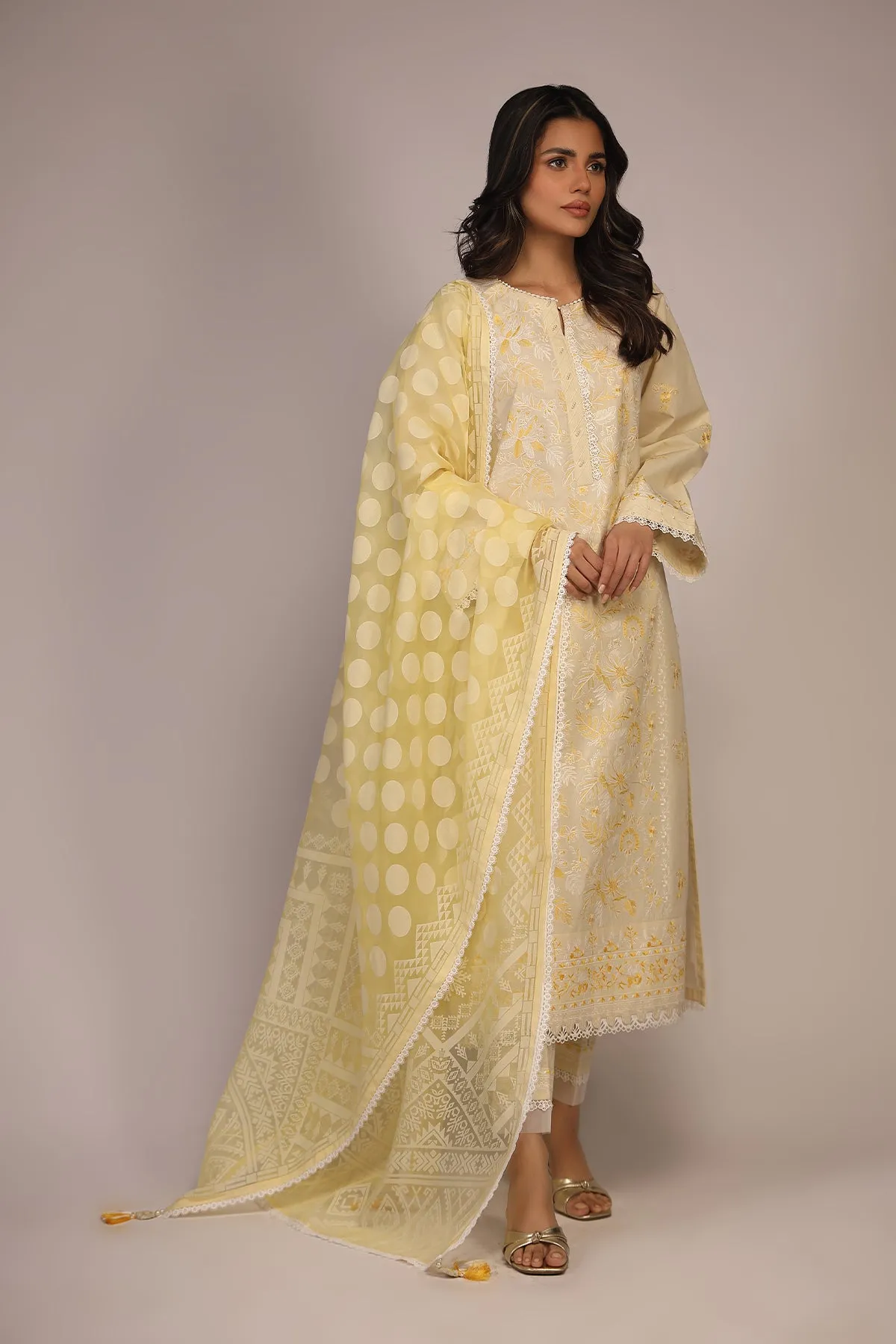 Chikankari 3 Piece