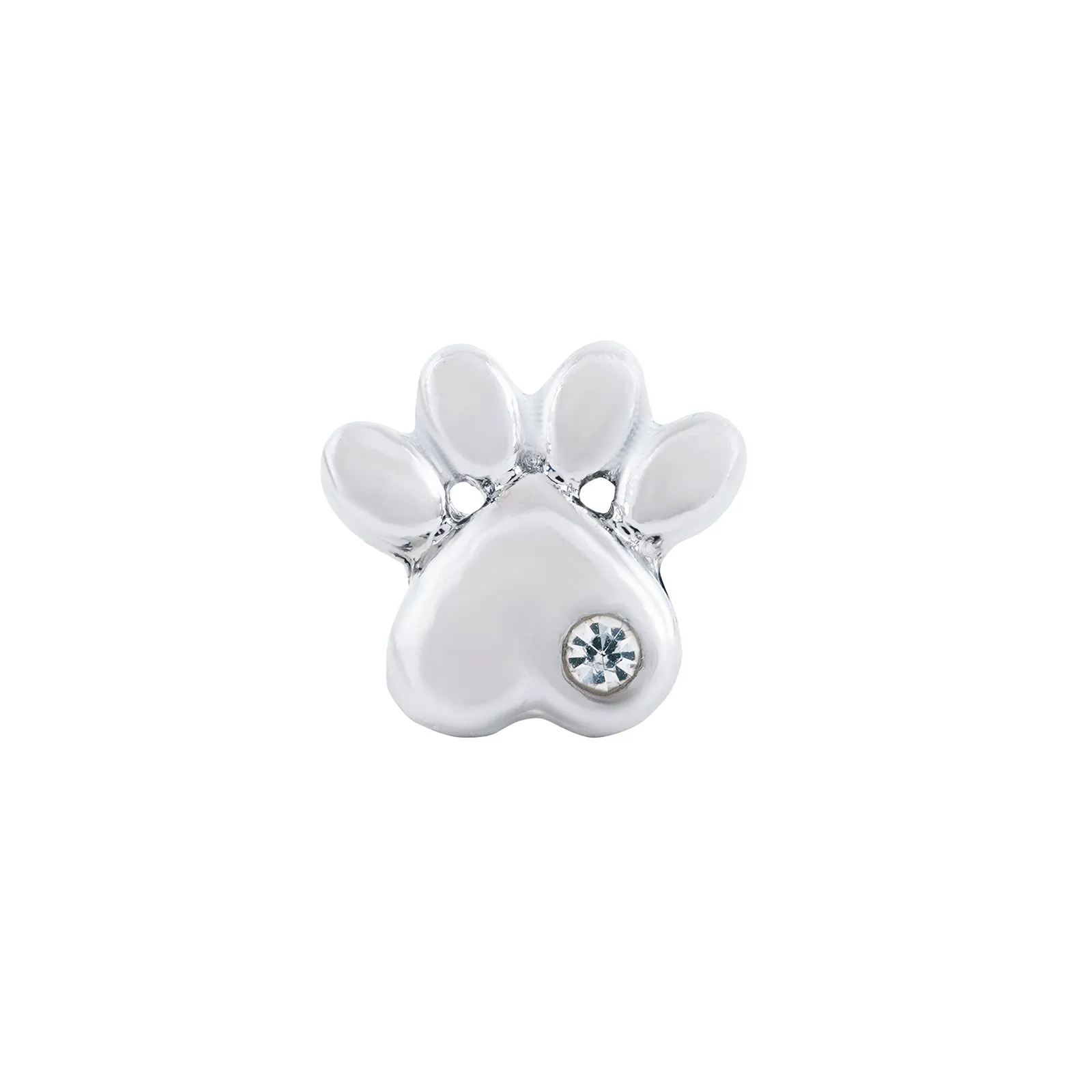 Pawtastic Silver Pin Watch Charm