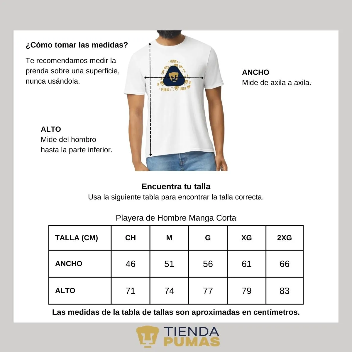 Playera Hombre Pumas UNAM triangular