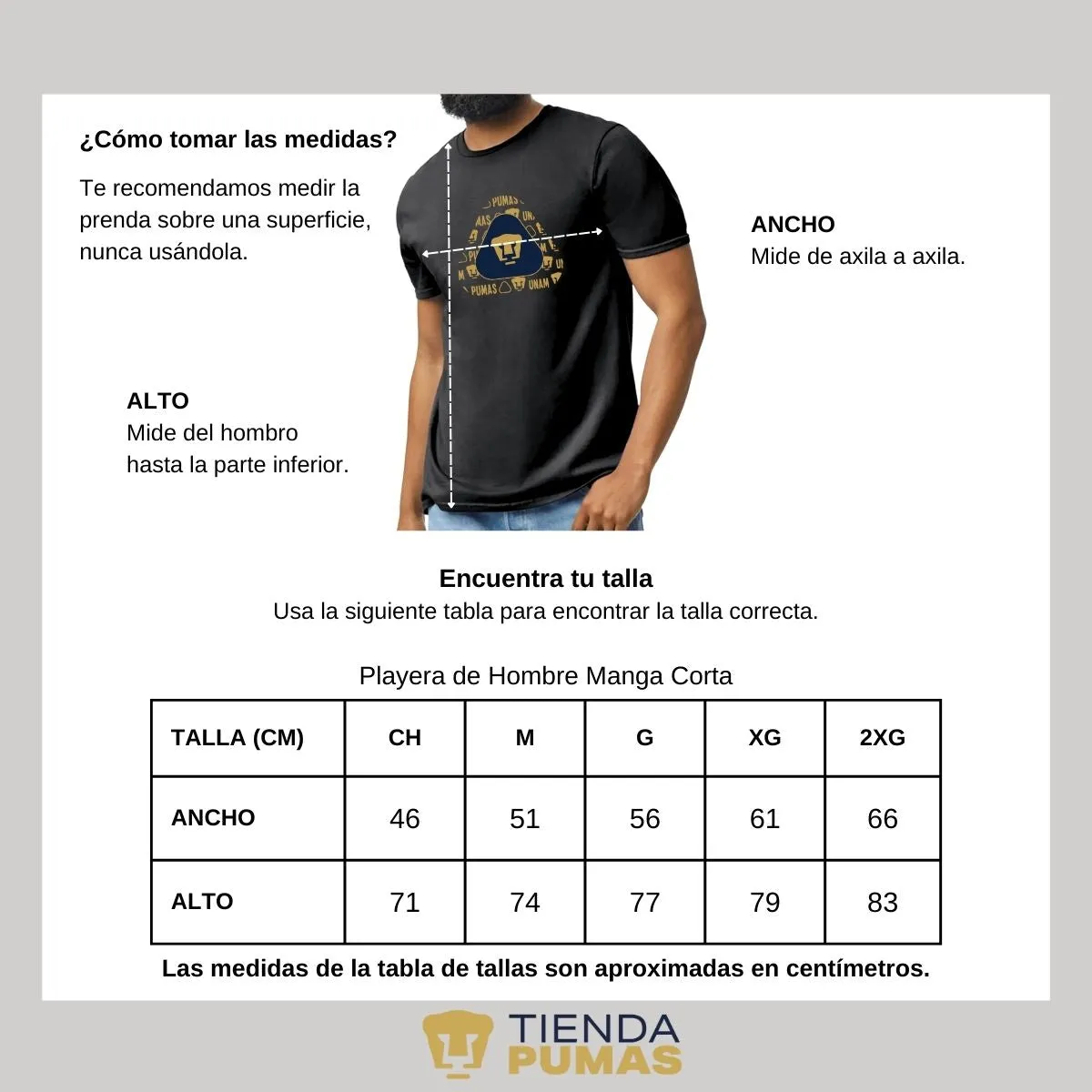 Playera Hombre Pumas UNAM triangular